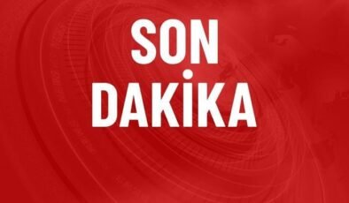 DEM Partili 2 isim İmralı’da! Beklenen görüşme başladı